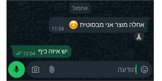 ביקורת 4